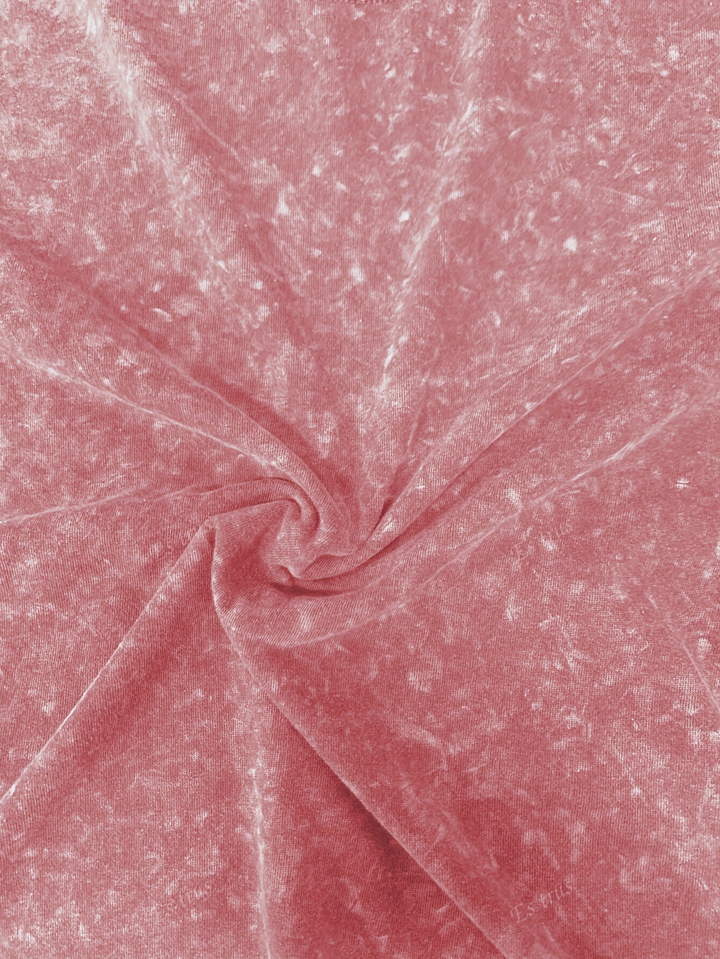 Vintage Whale Shark Tee