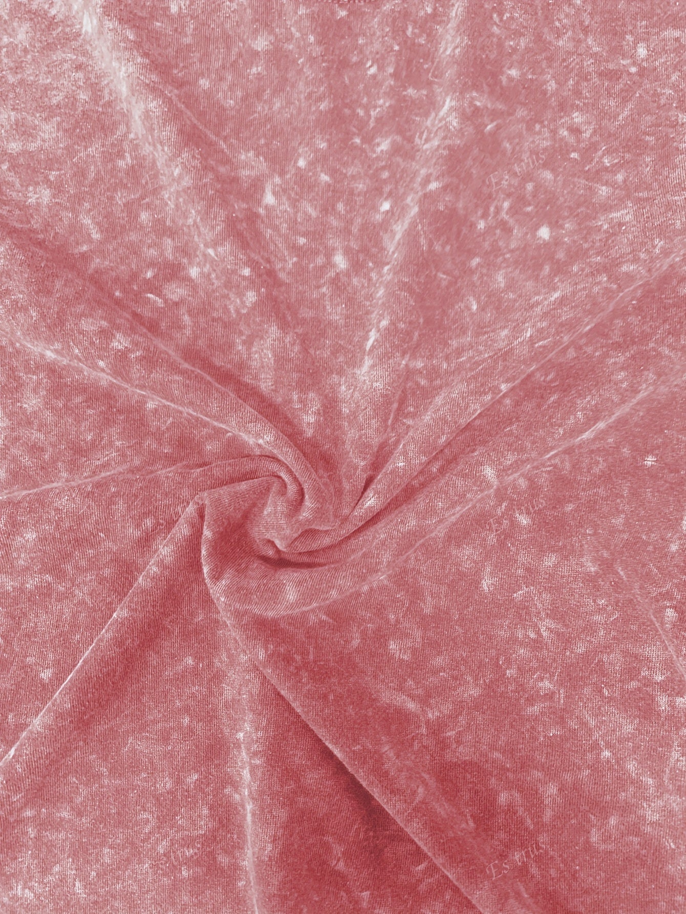 Vintage Whale Shark Tee